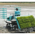 high quality seeders YAZU kubota type High speed riding rice transplanter 6 rows 2ZG-6 type